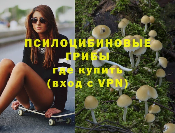крисы Красноперекопск