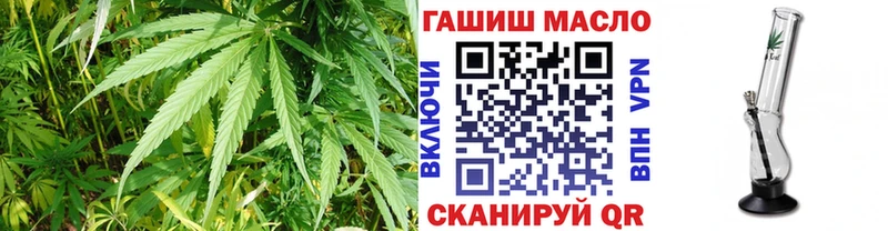 ТГК THC oil Купить где Лаишево